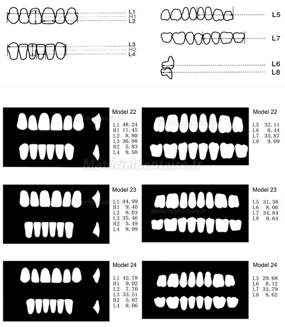 Prothèses dentaires en résine CAIYU (flexibles, bilatérales et symétriques) A1/A2/A3/A3.5/A4